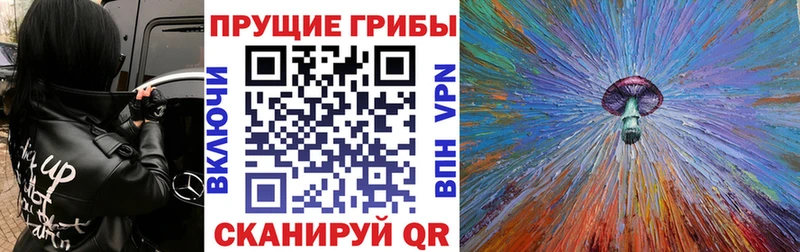 Галлюциногенные грибы мухоморы  наркота  Волчанск 